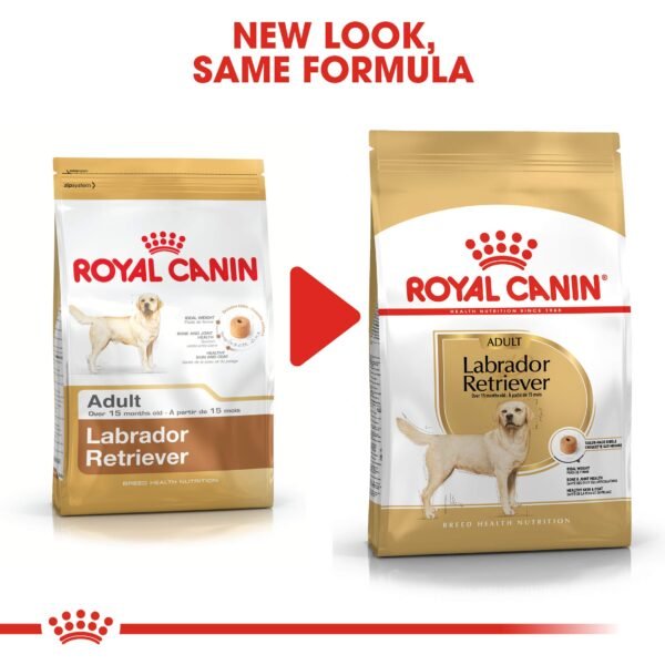 Royal Canin Labrador Retriever Adult Dog Food – 12KG - Image 2