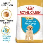 Royal Canin Labrador Retriever Puppy Food – 12KG