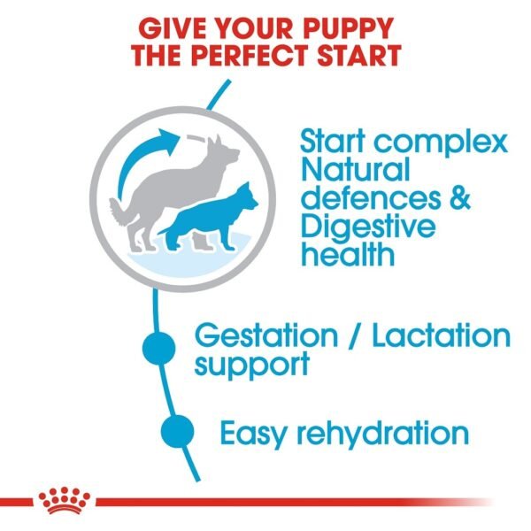 Royal Canin Maxi Starter - 4KG - Image 3