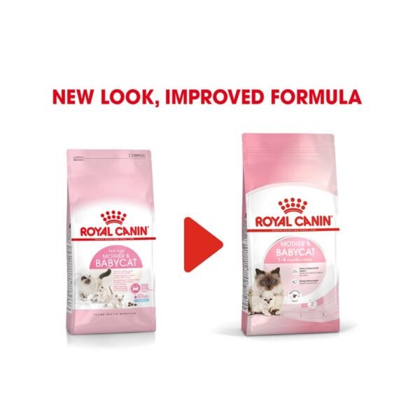 Royal Canin Mother n Baby Cat Dry Food - 4Kg
