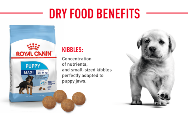 Royal Canin Maxi Puppy - 4KG - Image 3