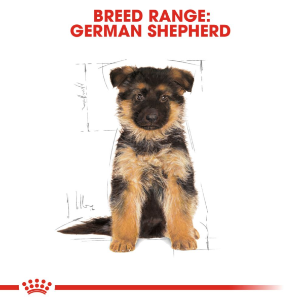 Royal Canin German Shepherd Puppy Dry Dog Food 12KG - Image 2