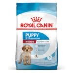 Royal Canin Medium Puppy - 4KG