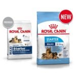 Royal Canin Maxi Starter - 4KG
