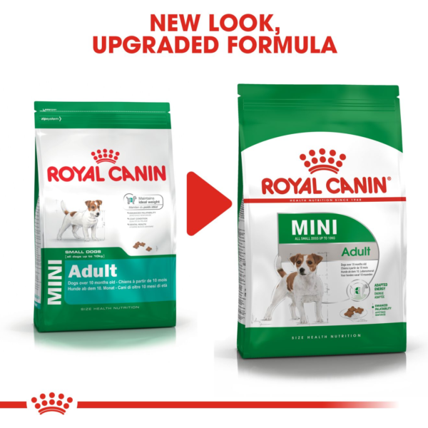 Royal Canin Mini Adult - 4kg